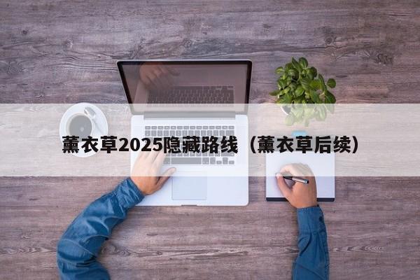 薰衣草2025隐藏路线（薰衣草后续）