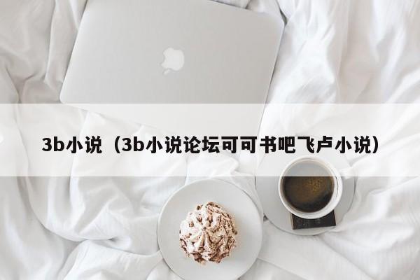 3b小说（3b小说论坛可可书吧飞卢小说）