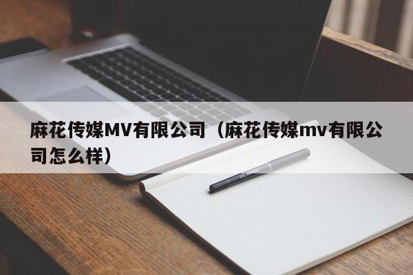 麻花传媒MV有限公司（麻花传媒mv有限公司怎么样）