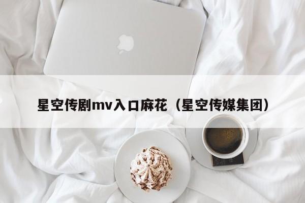 星空传剧mv入口麻花（星空传媒集团）